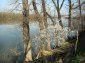 the Danube