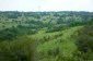 The land