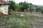 The garden