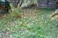 The garden