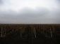 Lands for sale near Bourgas