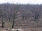 the land
