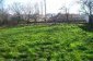 The garden