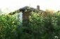 The estate
