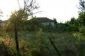 The property