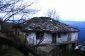 The house