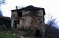 The estate