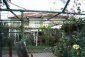 The garden
