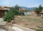 The other part of the garden