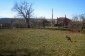 The garden