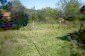 The garden
