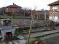 The garden