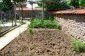 The Garden
