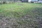 The garden