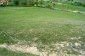 The land