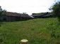 The garden