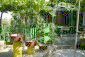 The garden