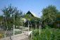 The garden