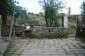 The garden