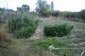 Part of the garden