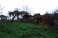 The garden 