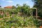 Part of the garden