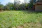 Other part of the garden
