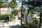 The garden