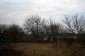 The garden