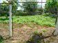 The garden