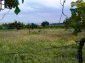 The field