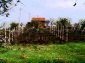 The garden