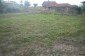The garden