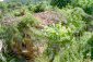 Houses for sale near Kardzhali