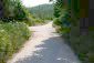 The road