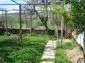The garden