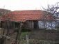 The garden