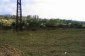 The land