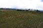 The land