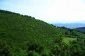 The view from the property