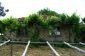 The garden