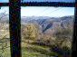 Through the window