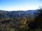 The view from the house