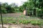 The garden