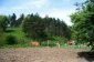 Part of the garden