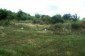 Part of the garden