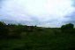 The garden