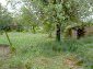 The garden