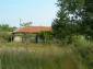 The house