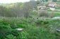 The view from the property